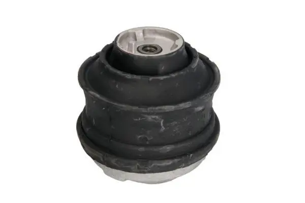REINHOCH RH113012 Подвеска, двигатель