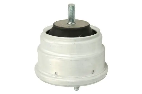 REINHOCH RH113022 Подвеска, двигатель