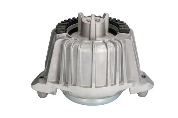 REINHOCH RH113024 Подвеска, двигатель