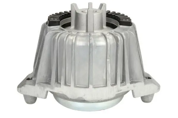 REINHOCH RH113035 Подвеска, двигатель