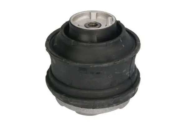 REINHOCH RH113036 Подвеска, двигатель