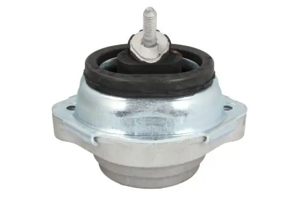 REINHOCH RH113037 Подвеска, двигатель