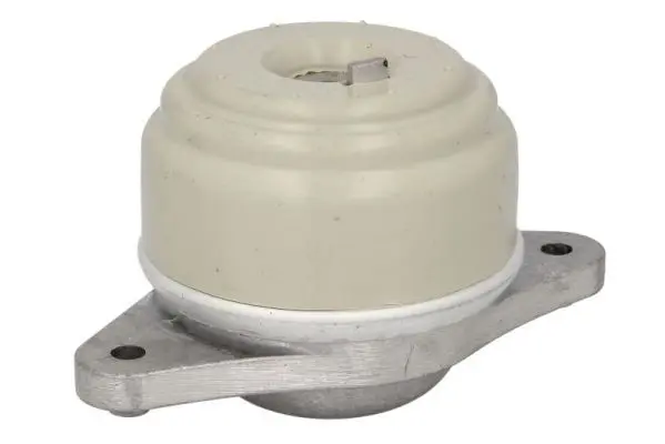 REINHOCH RH113098 Подвеска, двигатель