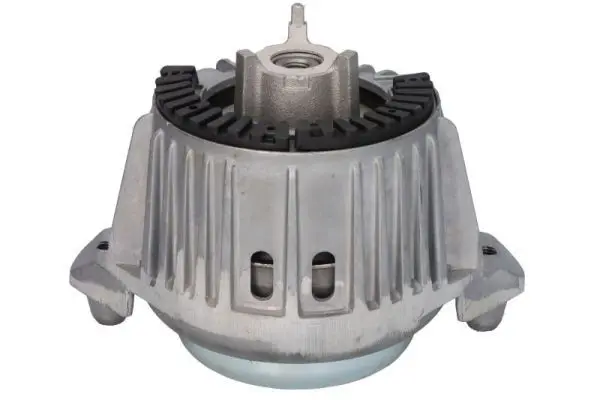 REINHOCH RH113101 Подвеска, двигатель