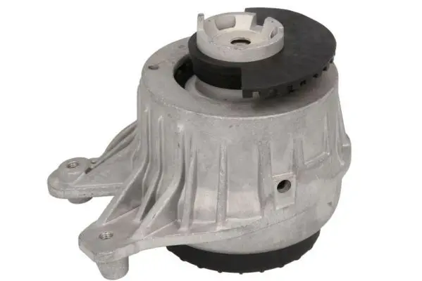 REINHOCH RH113106 Подвеска, двигатель