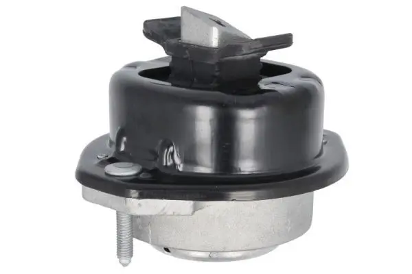 REINHOCH RH113109 Подвеска, двигатель