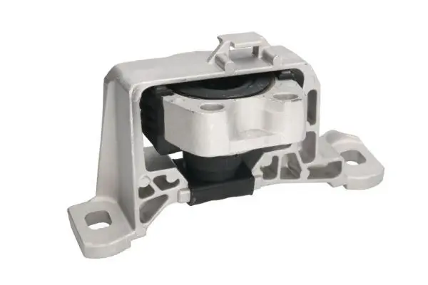 REINHOCH RH114001 Подвеска, двигатель