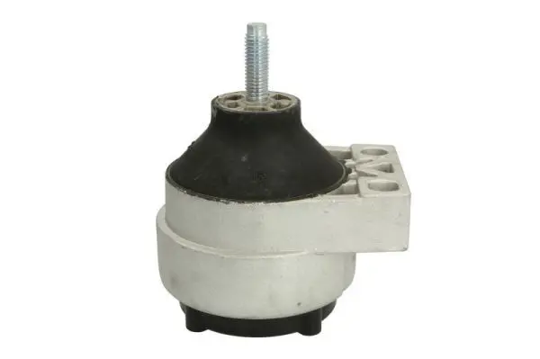 REINHOCH RH114007 Подвеска, двигатель