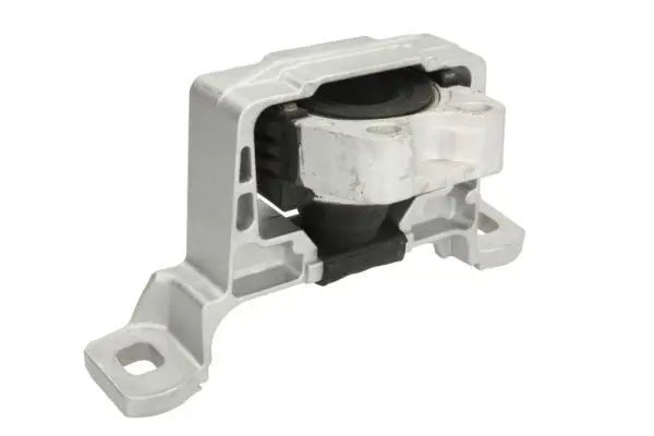 REINHOCH RH114019 Mounting, engine
