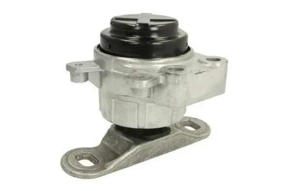 REINHOCH RH114039 Подвеска, двигатель