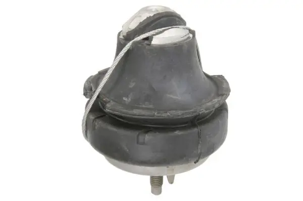 REINHOCH RH114046 Подвеска, двигатель