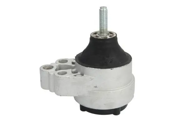 REINHOCH RH114050 Подвеска, двигатель
