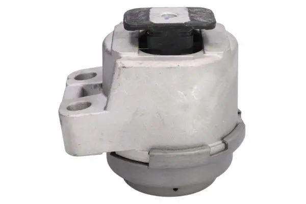 REINHOCH RH114061 Mounting, engine