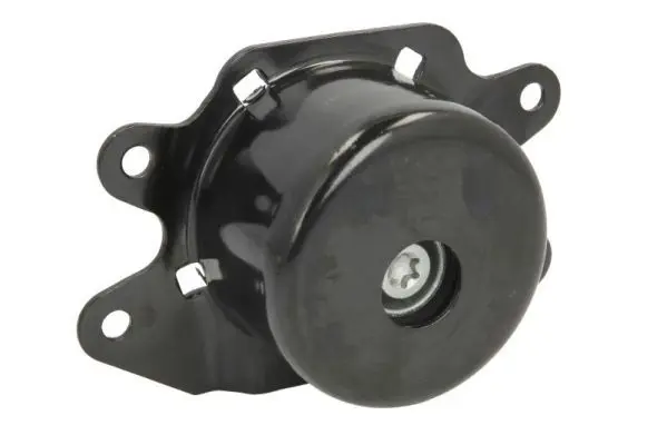 REINHOCH RH115035 Подвеска, двигатель