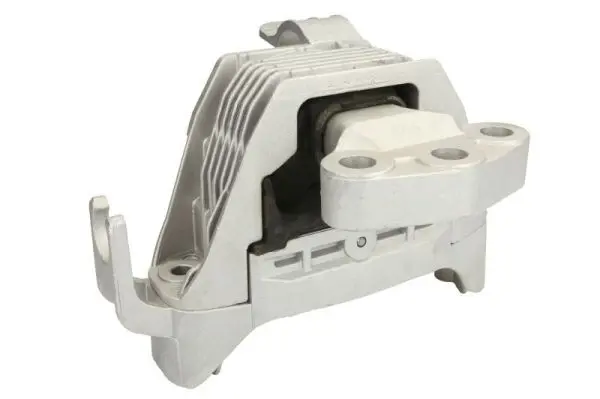 REINHOCH RH115053 Подвеска, двигатель