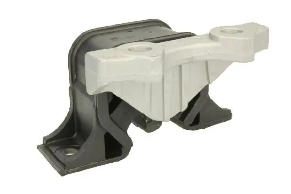 REINHOCH RH115061 Mounting, engine