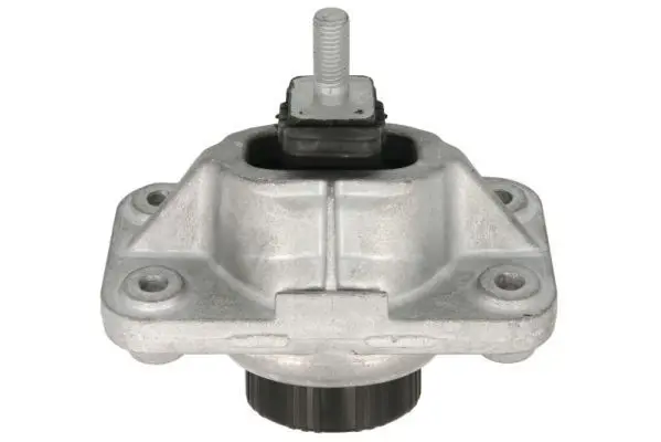 REINHOCH RH115090 Подвеска, двигатель