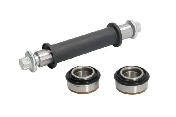 REINHOCH RH153015 Ремкомплект, поворотный кулак