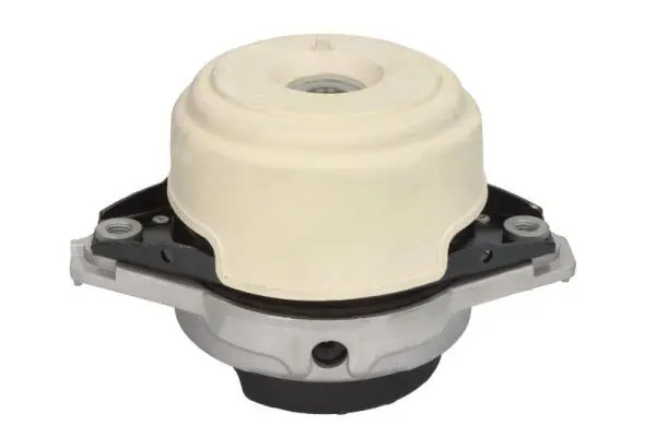REINHOCH RH113103 Mounting, engine