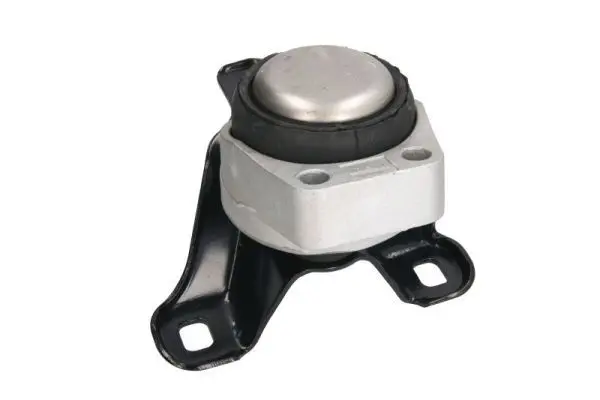 REINHOCH RH114018 Подвеска, двигатель