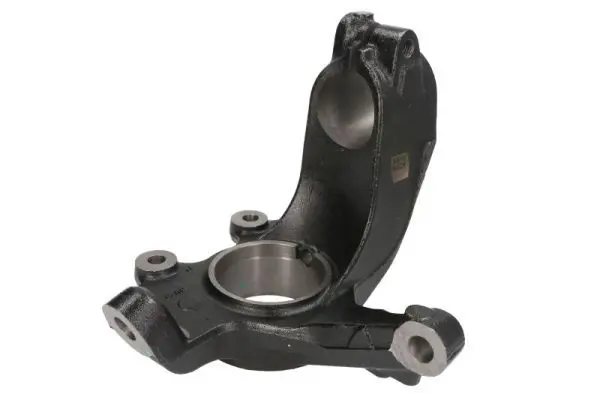 REINHOCH RH084004 Поворотный кулак, подвеска