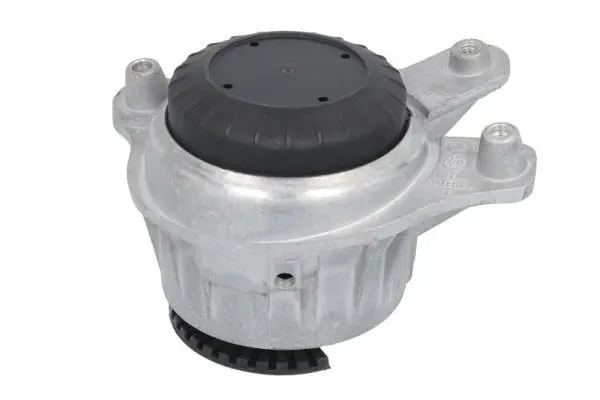 REINHOCH RH113159 Подвеска, двигатель