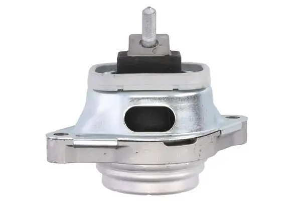 REINHOCH RH115097 Подвеска, двигатель
