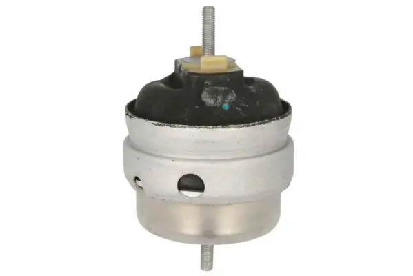 REINHOCH RH110162 Подвеска, двигатель