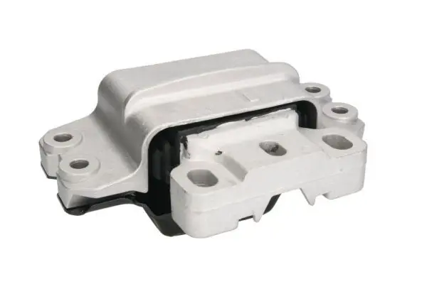 REINHOCH RH110081 Подвеска, двигатель