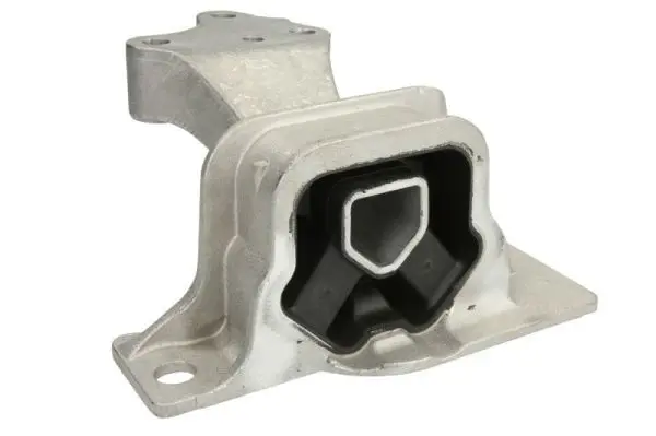 REINHOCH RH112106 Подвеска, двигатель