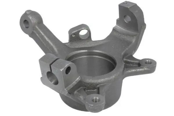 REINHOCH RH085021 Поворотный кулак, подвеска