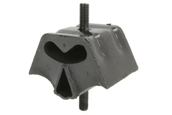 REINHOCH RH110003 Подвеска, двигатель