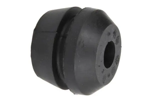 REINHOCH RH110010 Подвеска, двигатель