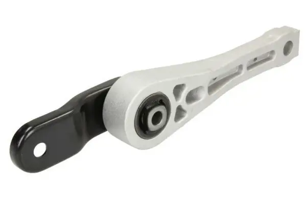 REINHOCH RH110087 Подвеска, двигатель