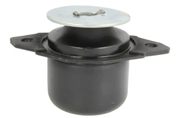REINHOCH RH110108 Подвеска, двигатель