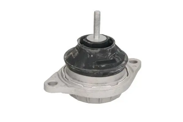 REINHOCH RH110120 Подвеска, двигатель