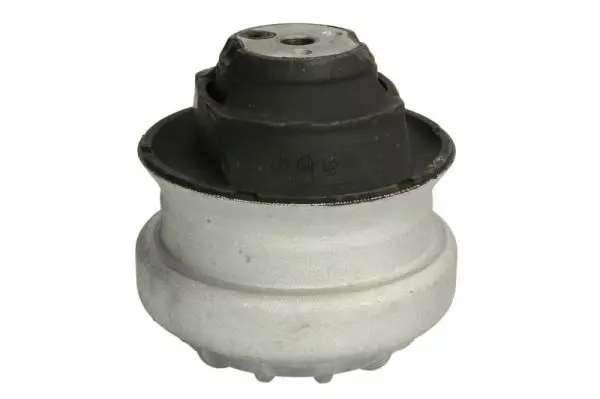REINHOCH RH113000 Подвеска, двигатель