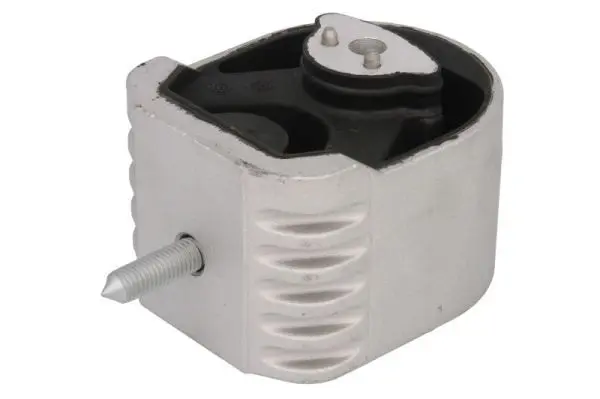 REINHOCH RH113019 Подвеска, двигатель
