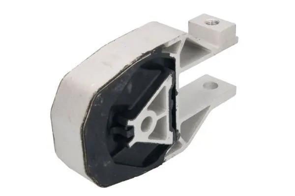 REINHOCH RH114038 Подвеска, двигатель