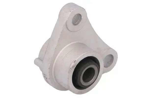 REINHOCH RH114066 Подвеска, двигатель