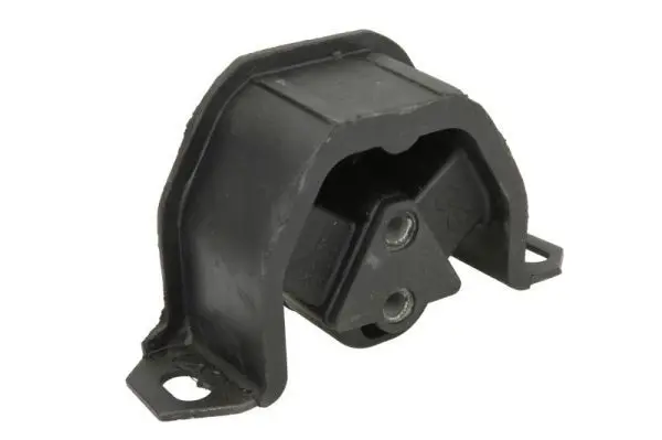 REINHOCH RH115001 Подвеска, двигатель