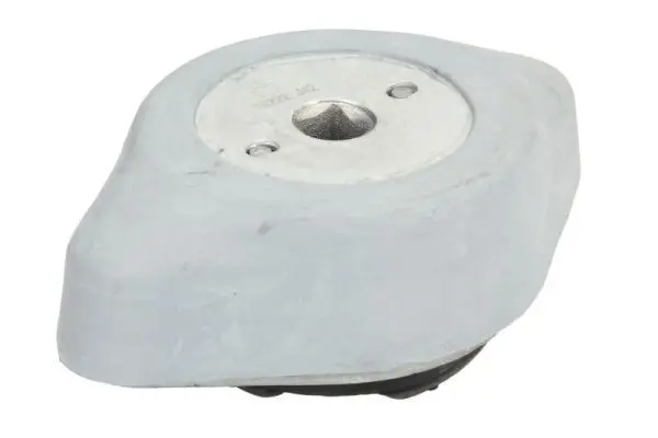 REINHOCH RH120017 Подвеска, механическая коробка
