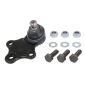 REINHOCH RH032020