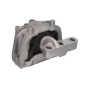 RH110157 REINHOCH Подвеска, двигатель