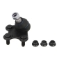 REINHOCH RH030023
