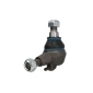 REINHOCH RH033020
