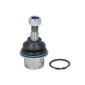 REINHOCH RH036012