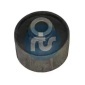 RTS 01700203