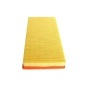 SCT SB007