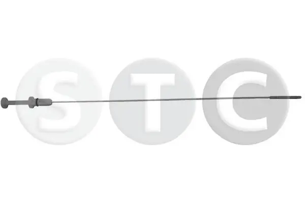T404593 